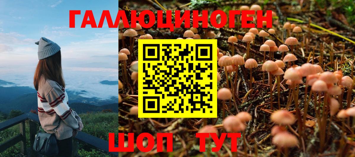 Галлюциногенные грибы мицелий Дзержинский
