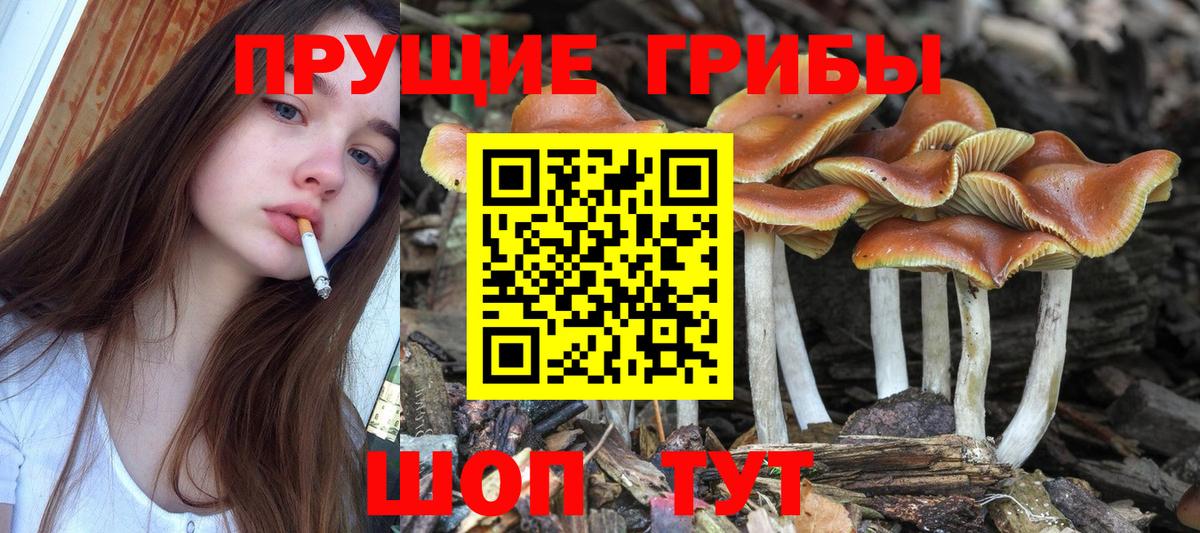 Дзержинский  Галлюциногенные грибы Magic Shrooms  Псилоцибиновые грибы GOLDEN TEACHER  Вход с VPN 